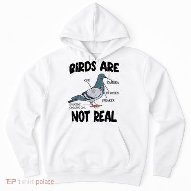 Birds Are Not Real Diagram Hoodie