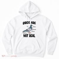 Birds Are Not Real Diagram Hoodie thumb 0