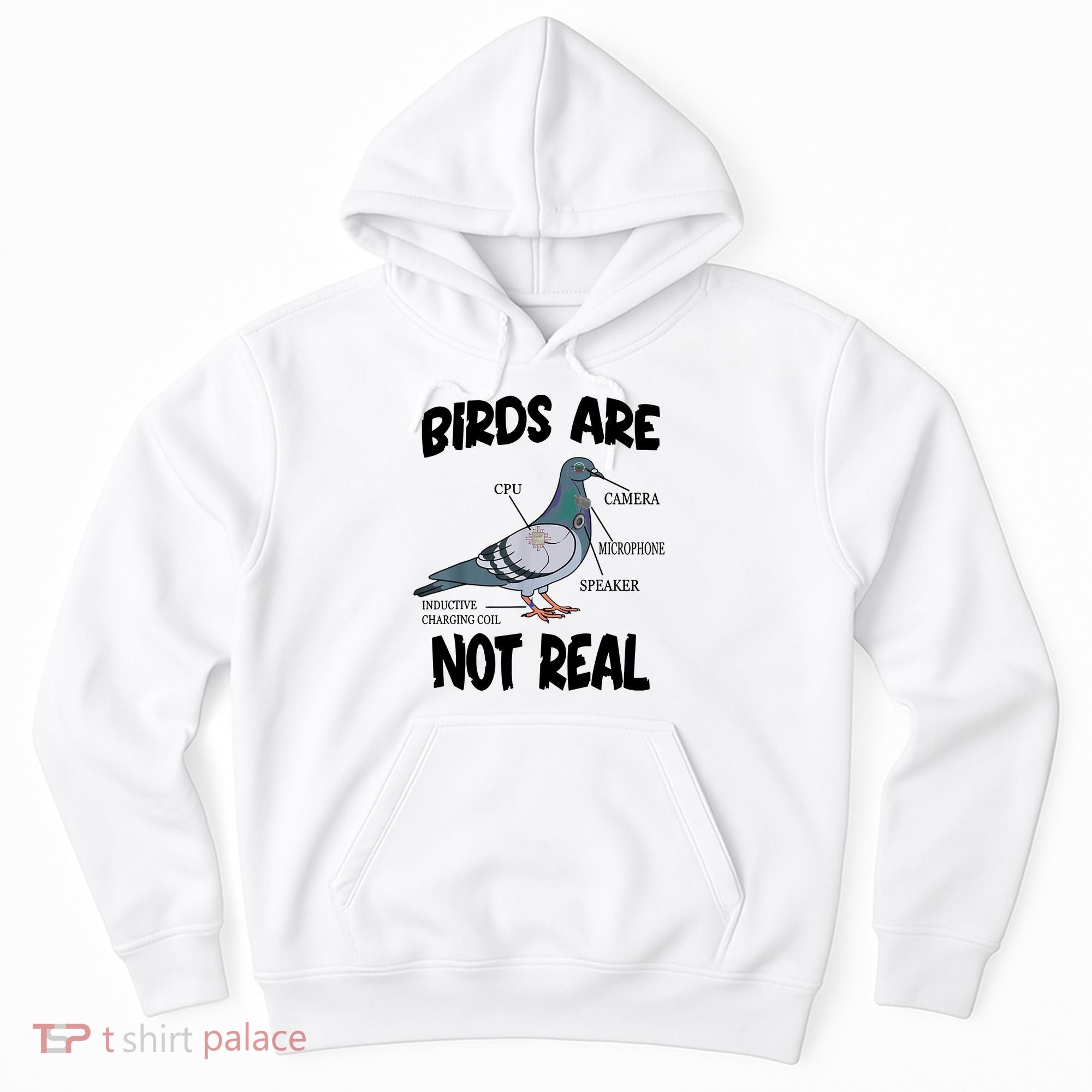 Birds Are Not Real Diagram Hoodie