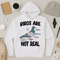Birds Are Not Real Diagram Hoodie thumb 3