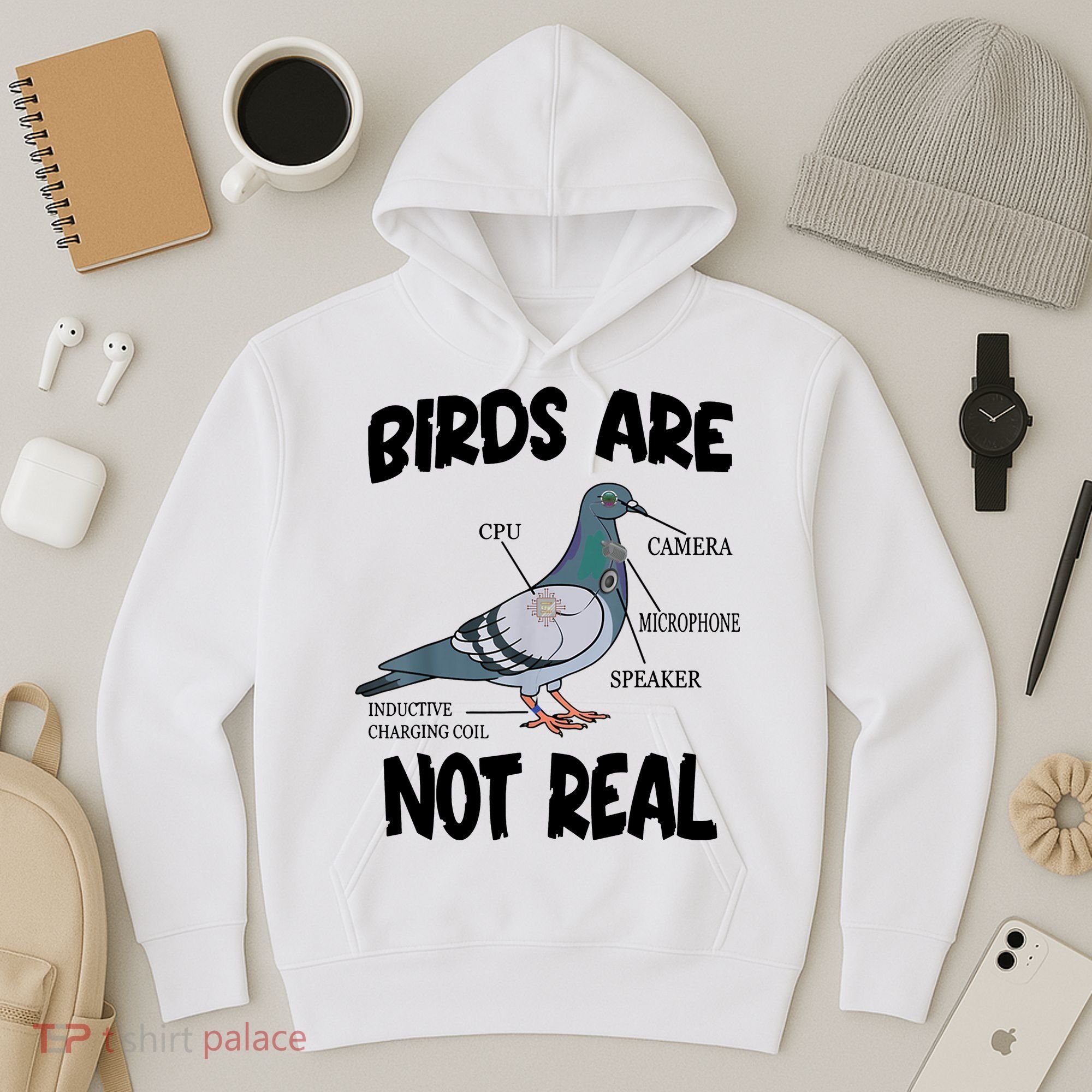 Birds Are Not Real Diagram Hoodie