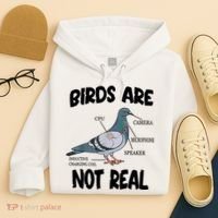 Birds Are Not Real Diagram Hoodie thumb 4