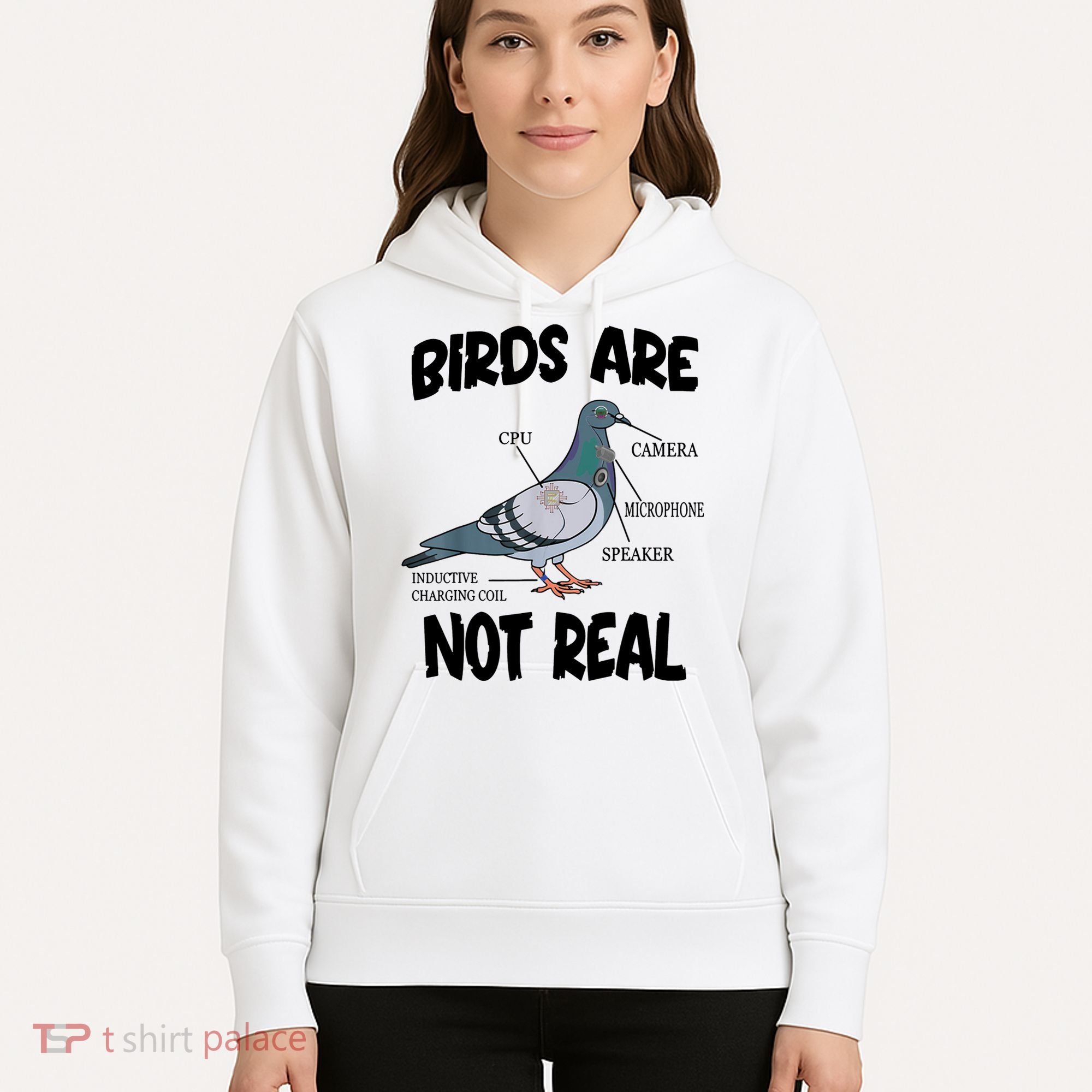Birds Are Not Real Diagram Hoodie
