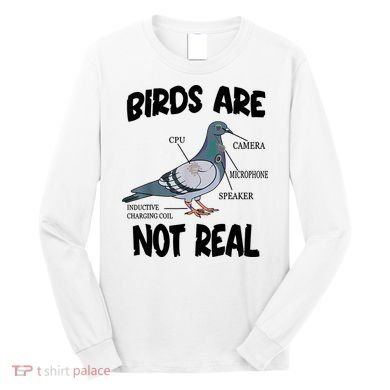 Birds Are Not Real Diagram Long Sleeve Shirt