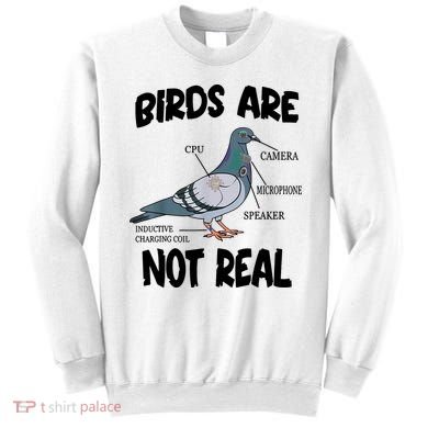 Birds Are Not Real Diagram Sweatshirt