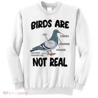 Birds Are Not Real Diagram Sweatshirt thumb 0