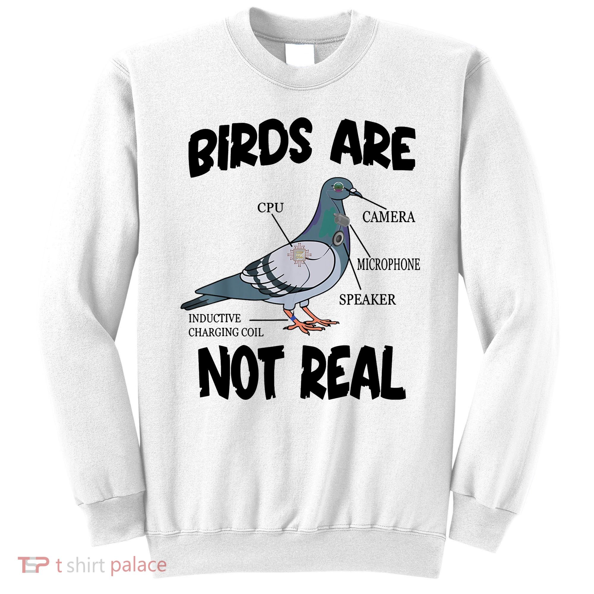 Birds Are Not Real Diagram Sweatshirt