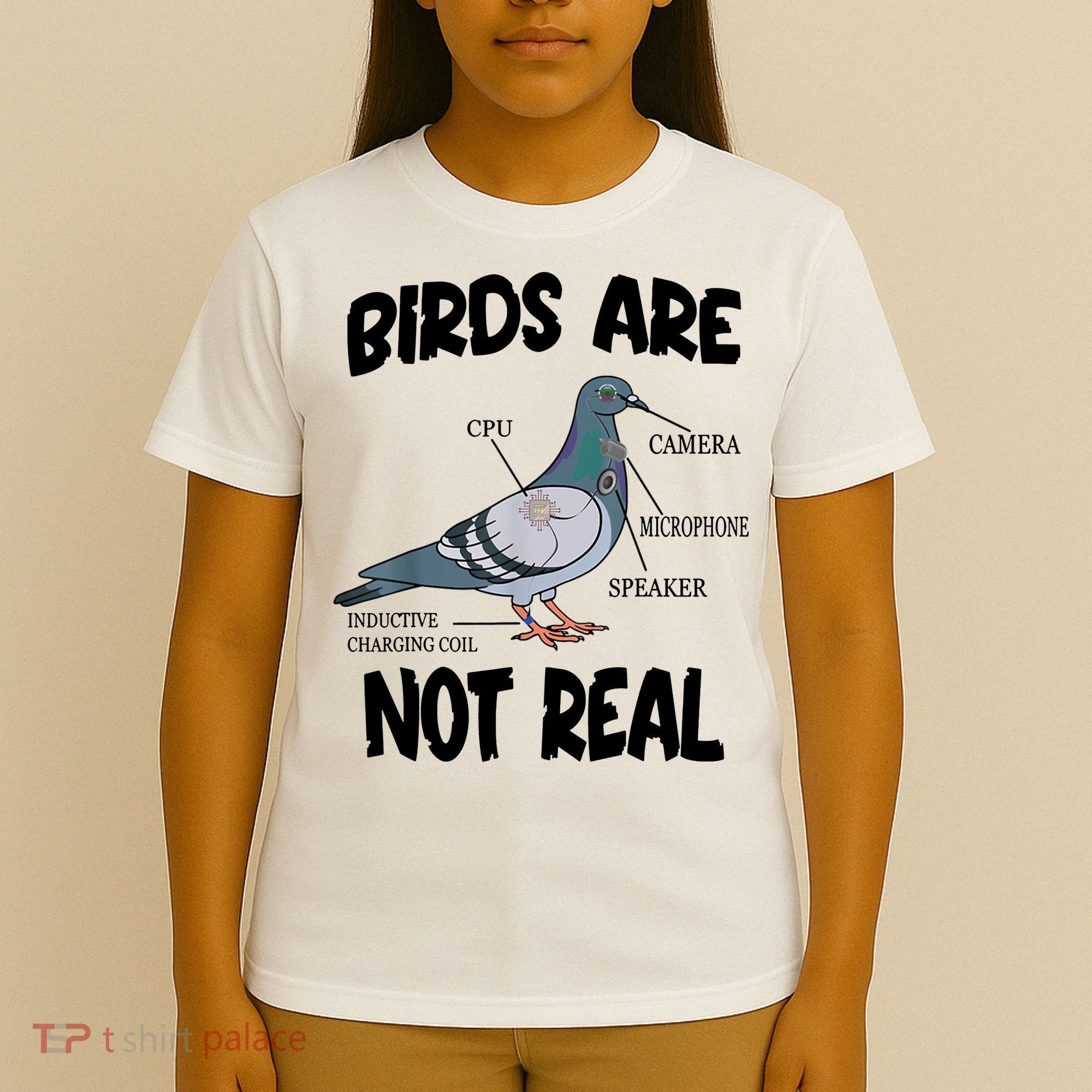 Birds Are Not Real Diagram T-Shirt