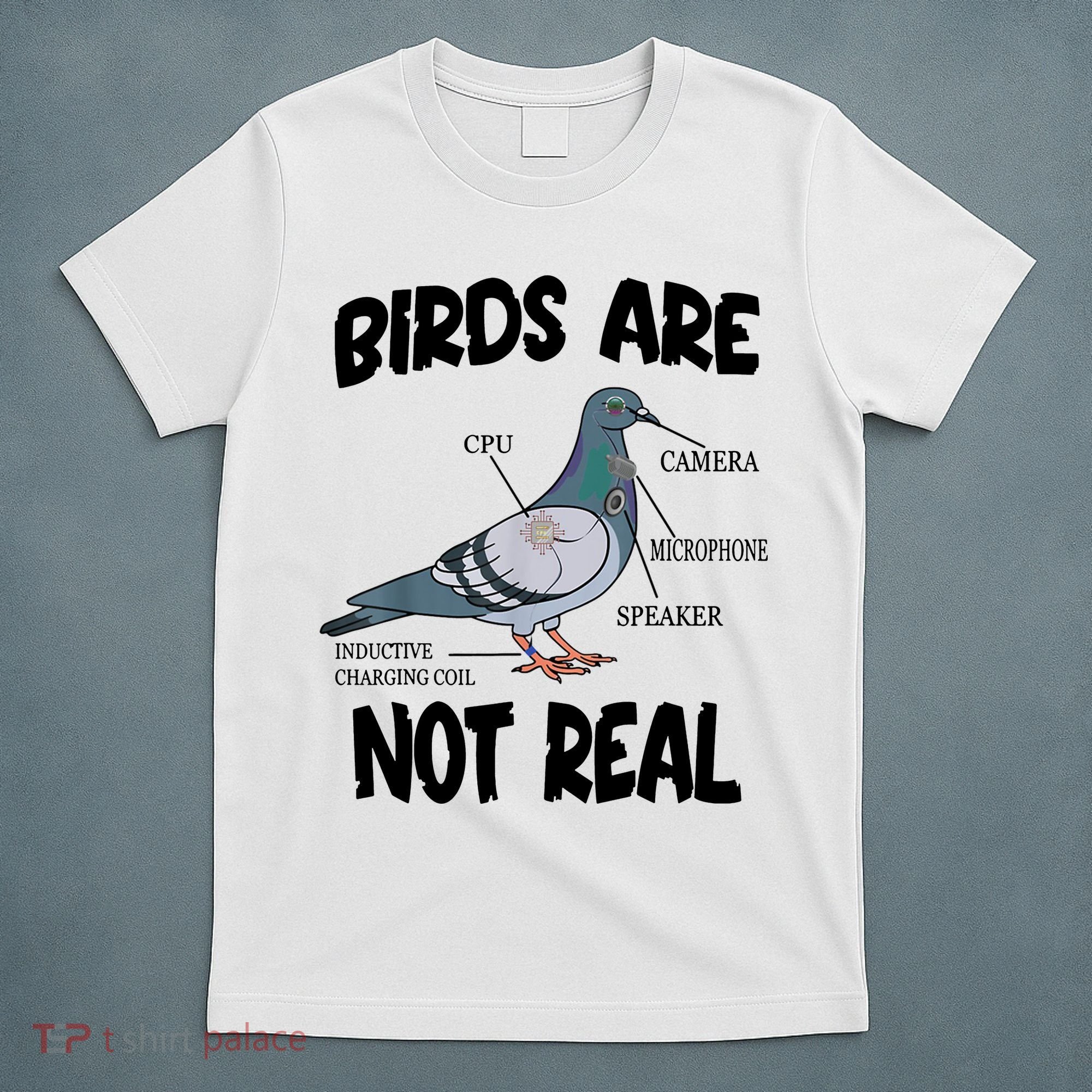 Birds Are Not Real Diagram T-Shirt
