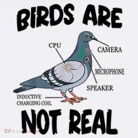 Birds Are Not Real Diagram T-Shirt thumb 7