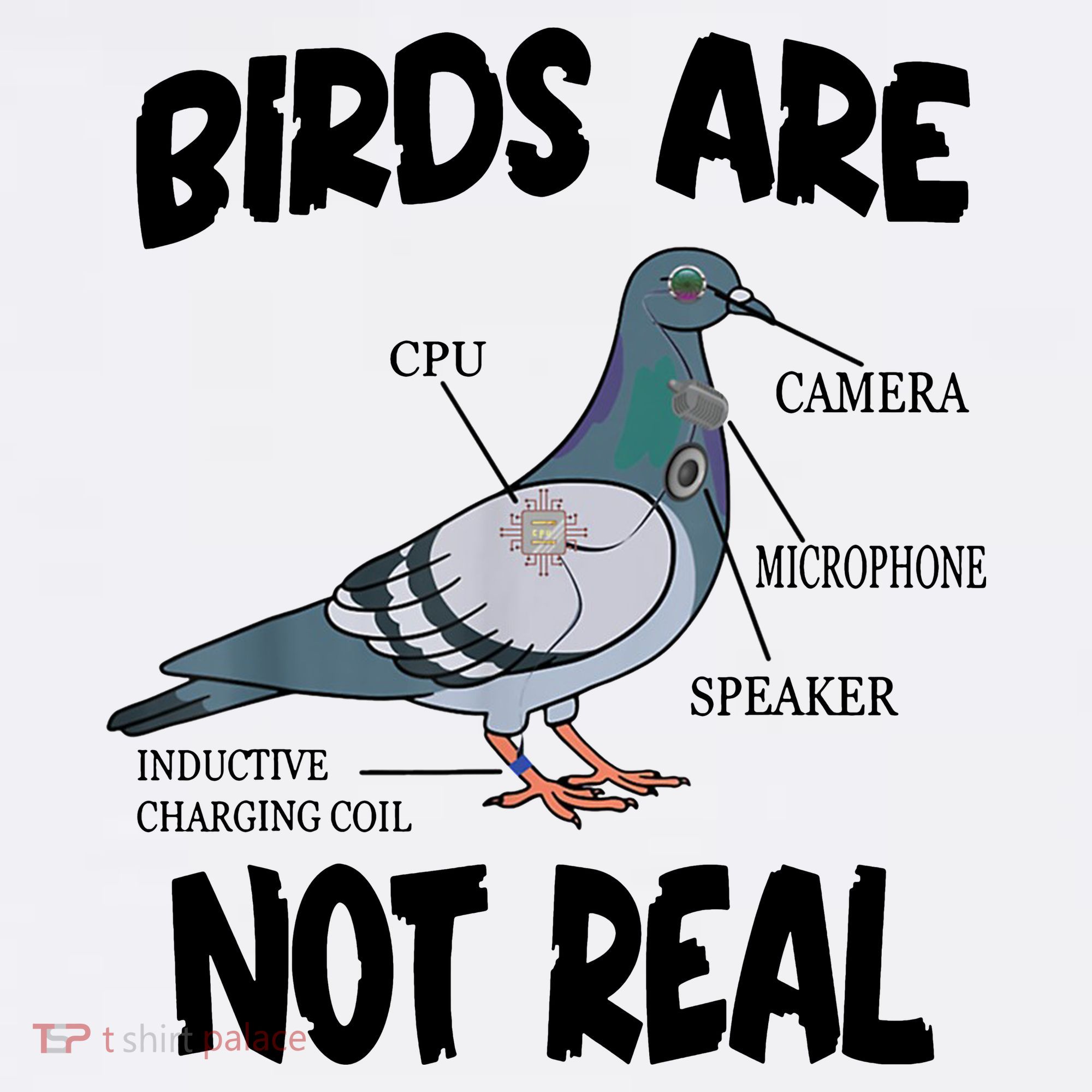 Birds Are Not Real Diagram T-Shirt