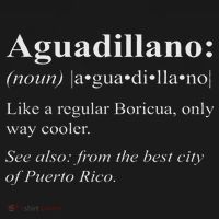 Boricua Aguadilla Puerto Rico Gift Aguadillano Definifion Polo thumb 3
