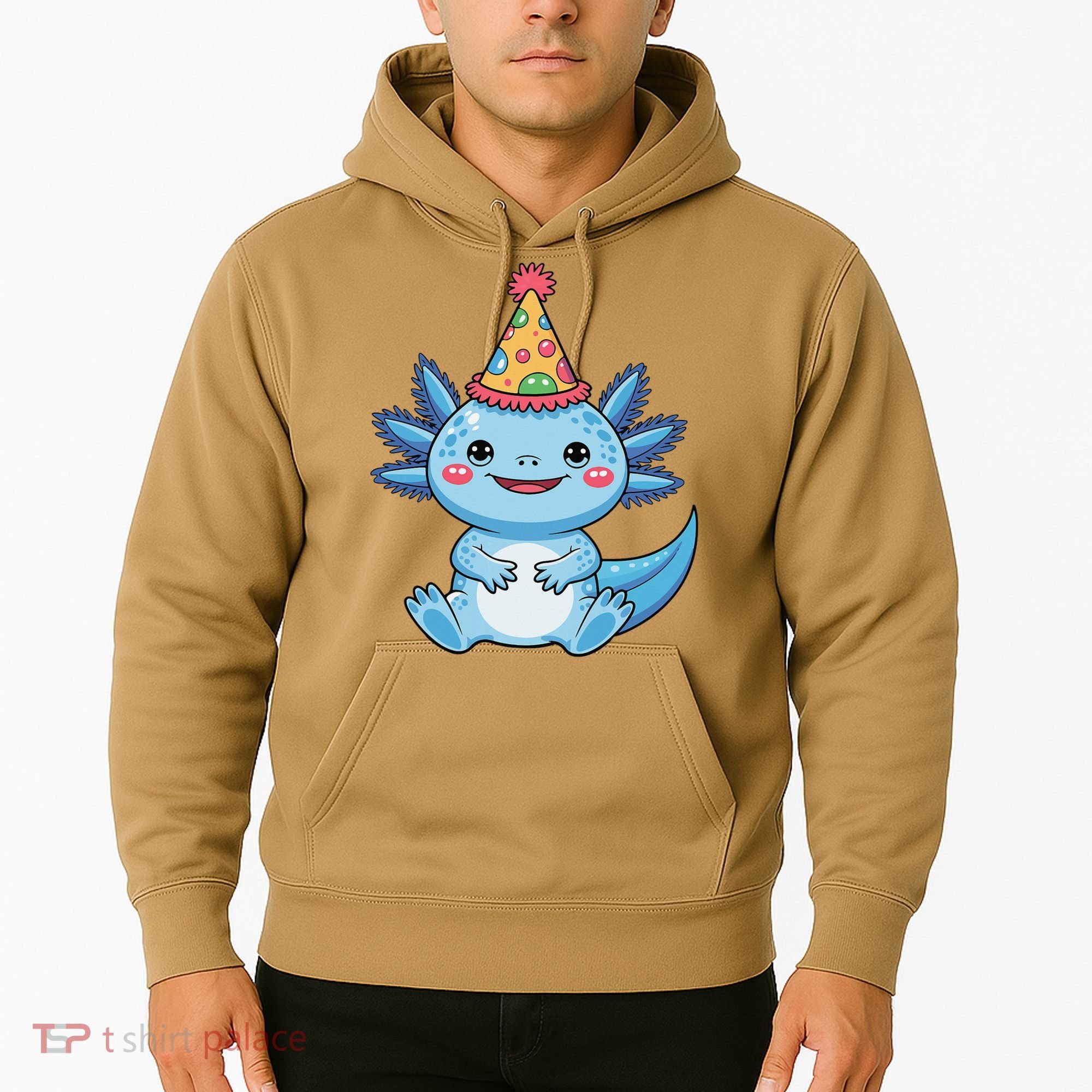 Birthday Axolotl Party Gift Hoodie