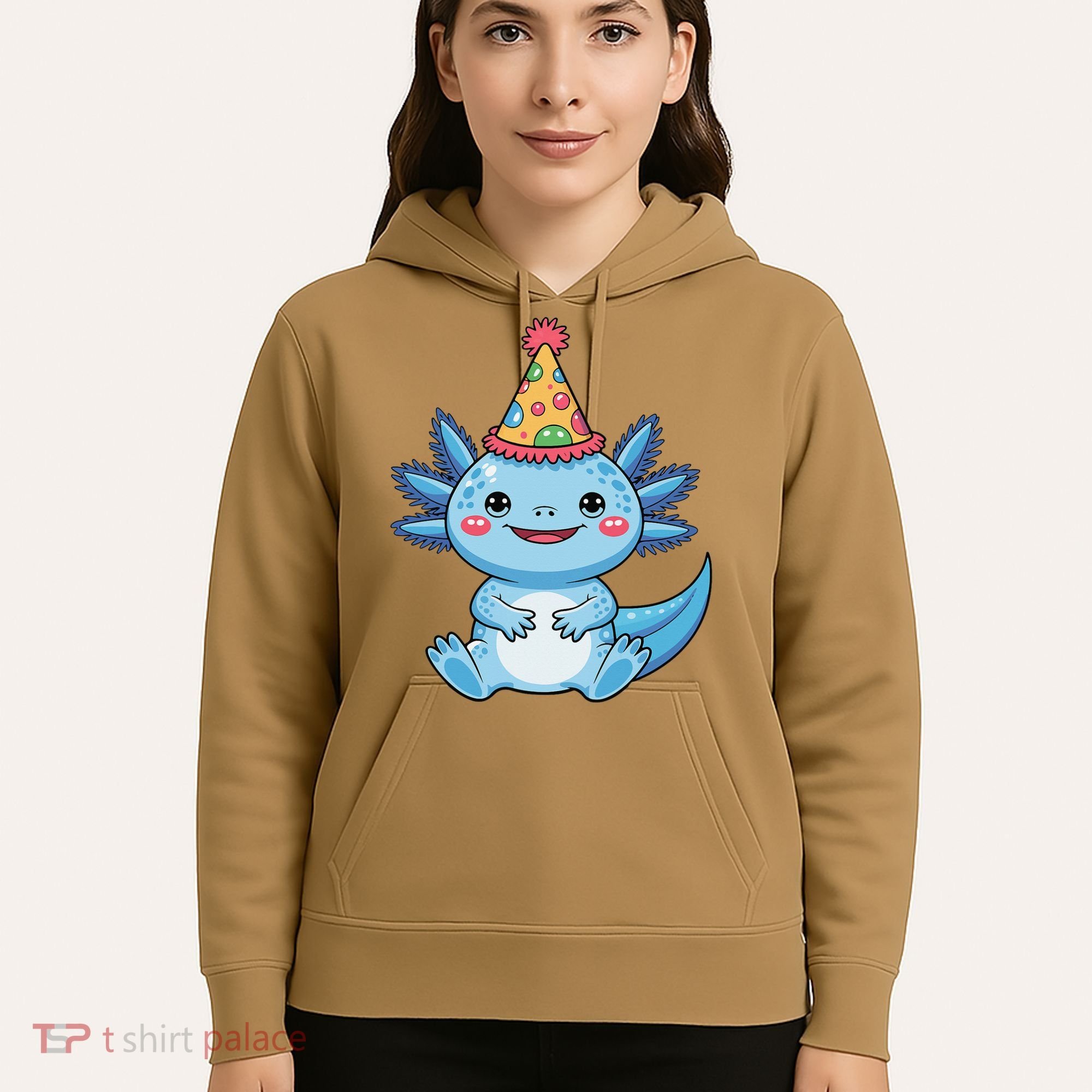 Birthday Axolotl Party Gift Hoodie