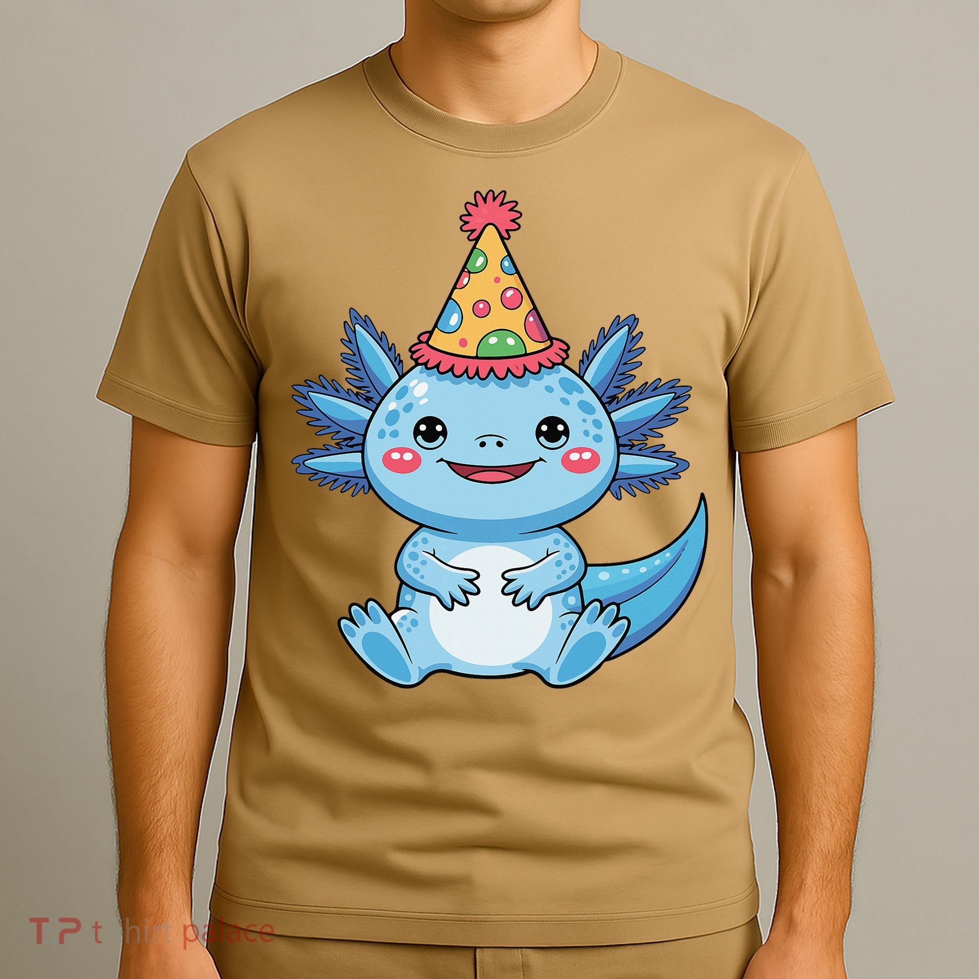 Birthday Axolotl Party Gift T-Shirt