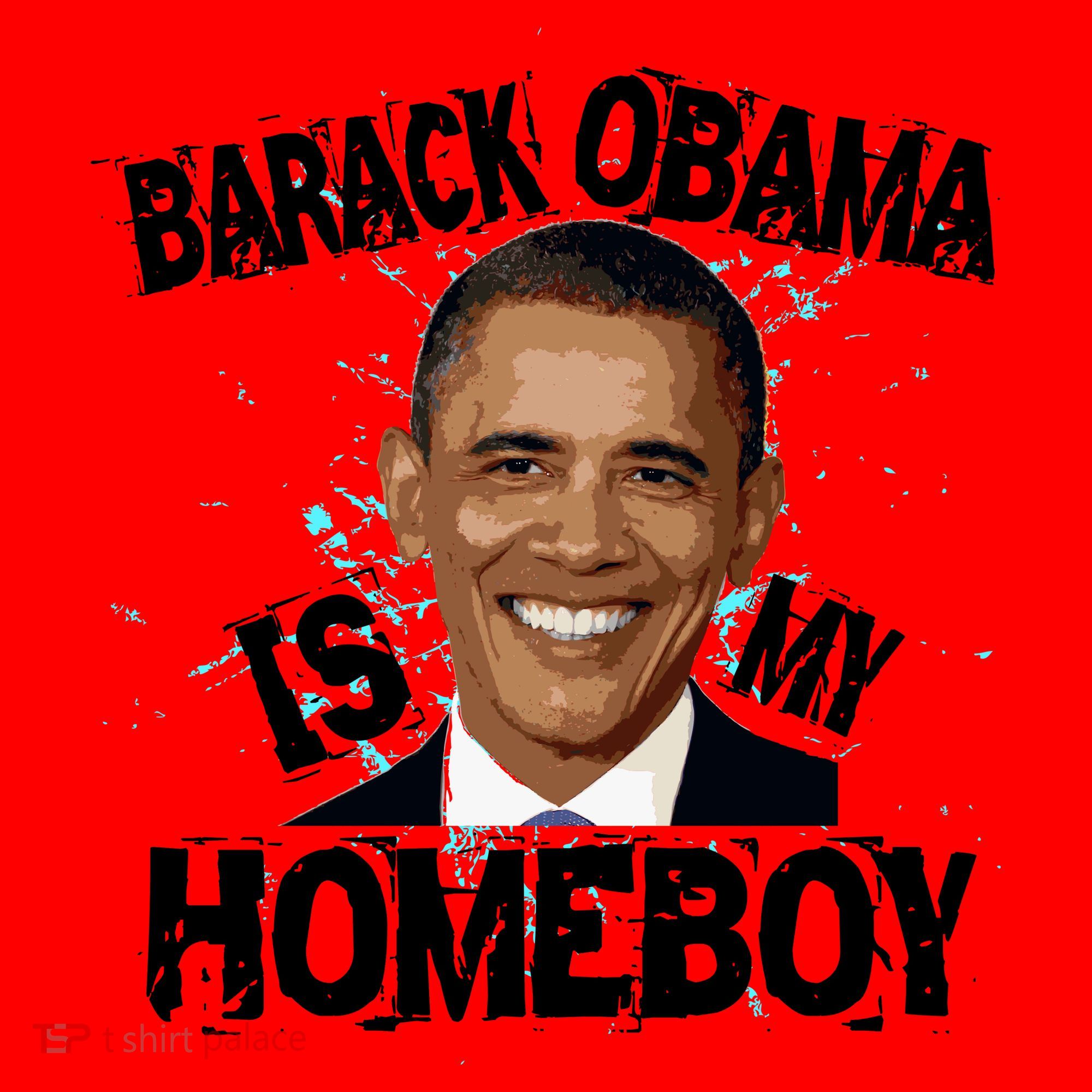 Barack Obama Is My Homeboy Santa Hat