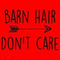 Barn Hair Don't Care Santa Hat thumb 1