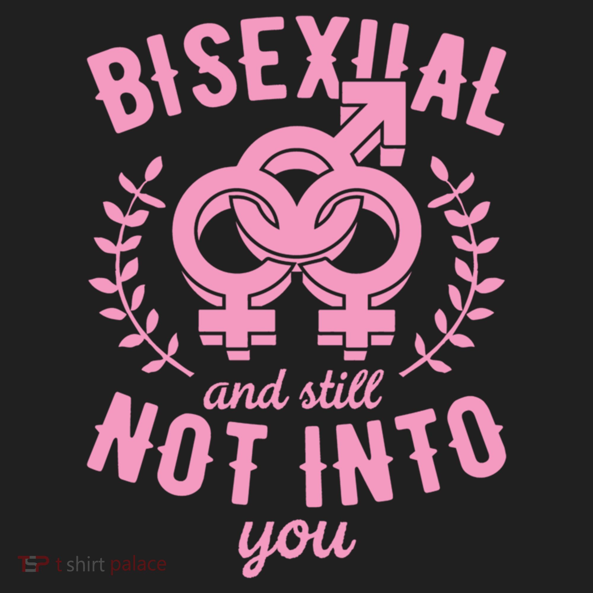 Bisexual And Still Not Into You Cute Bi Pride Flag Quotes Funny Gift Hat