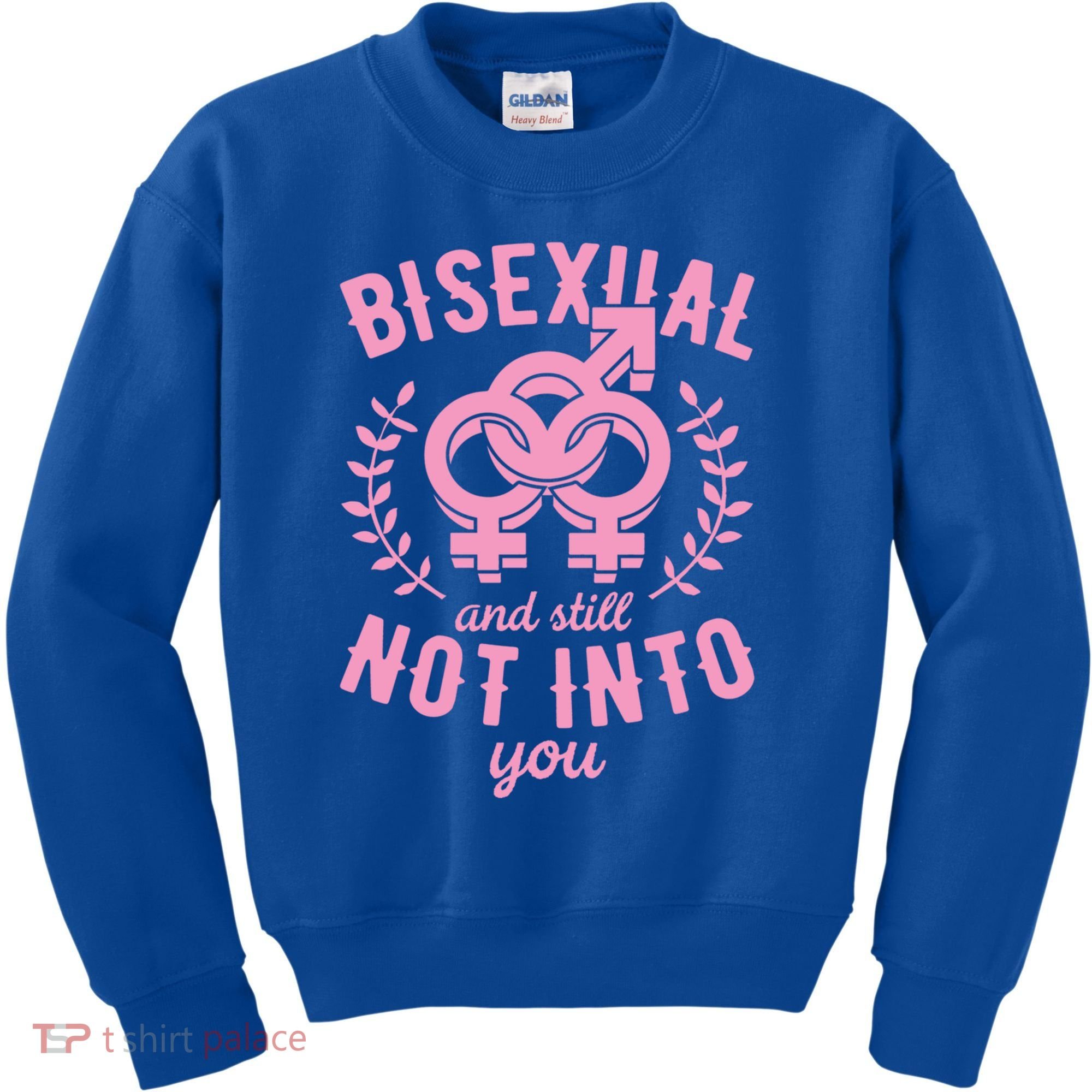 Bisexual And Still Not Into You Cute Bi Pride Flag Quotes Funny Gift Kids Sweatshirt