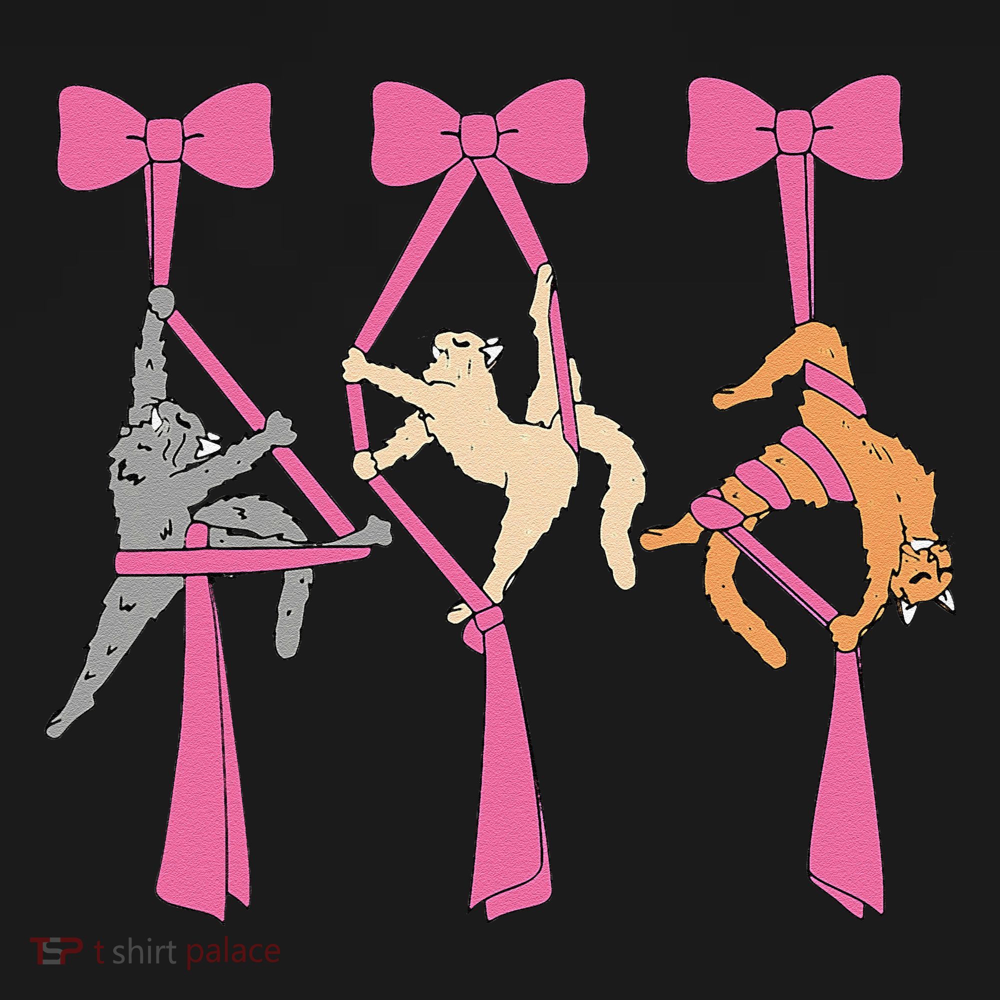 Bow Aerial Silks Cat Aerial Aerialist Yoga Hammock Cat Mom Women's Hoodie