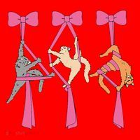 Bow Aerial Silks Cat Aerial Aerialist Yoga Hammock Cat Mom Santa Hat thumb 1
