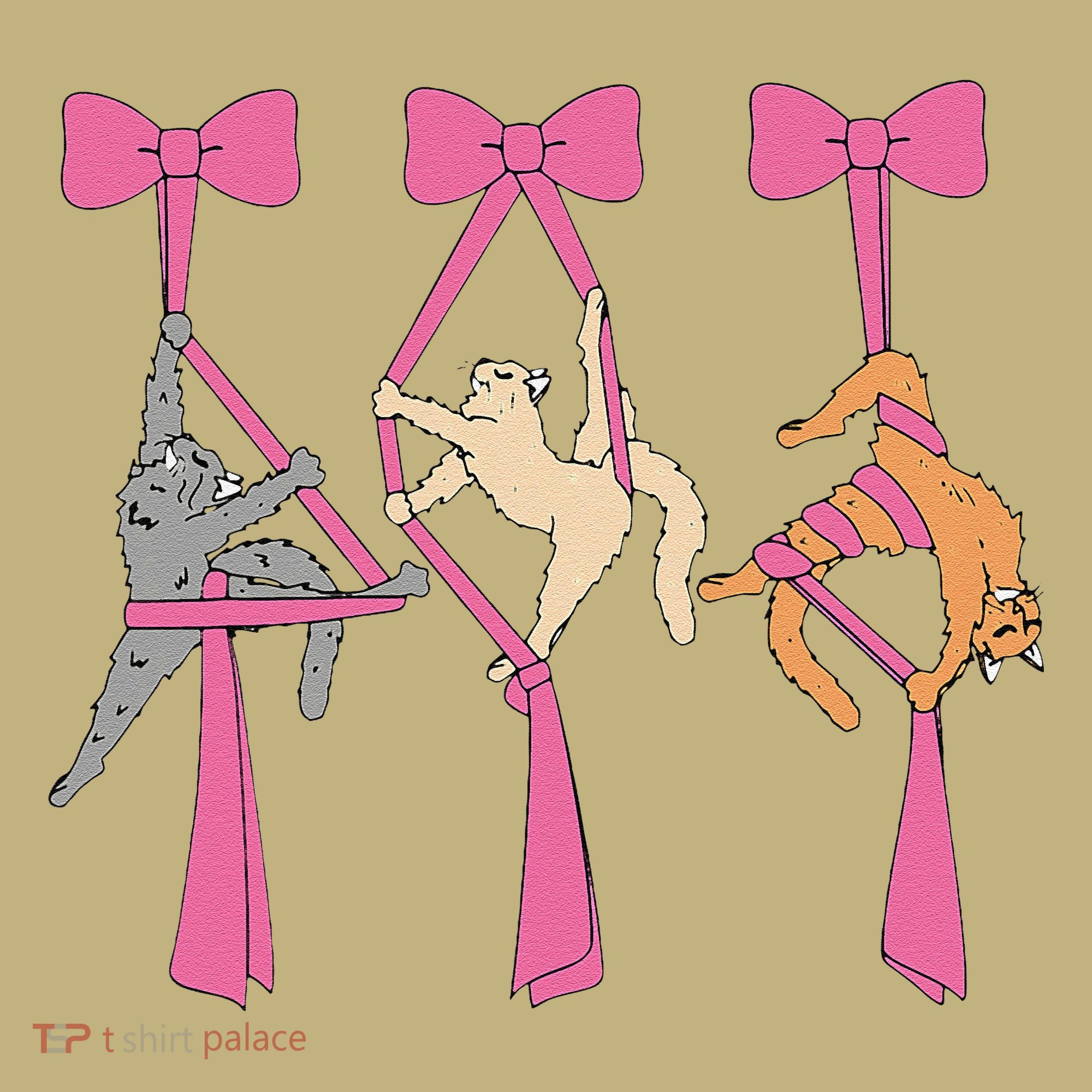 Bow Aerial Silks Cat Aerial Aerialist Yoga Hammock Cat Mom Long Sleeve Shirt