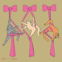 Bow Aerial Silks Cat Aerial Aerialist Yoga Hammock Cat Mom Button thumb 1