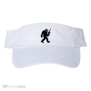 Visor