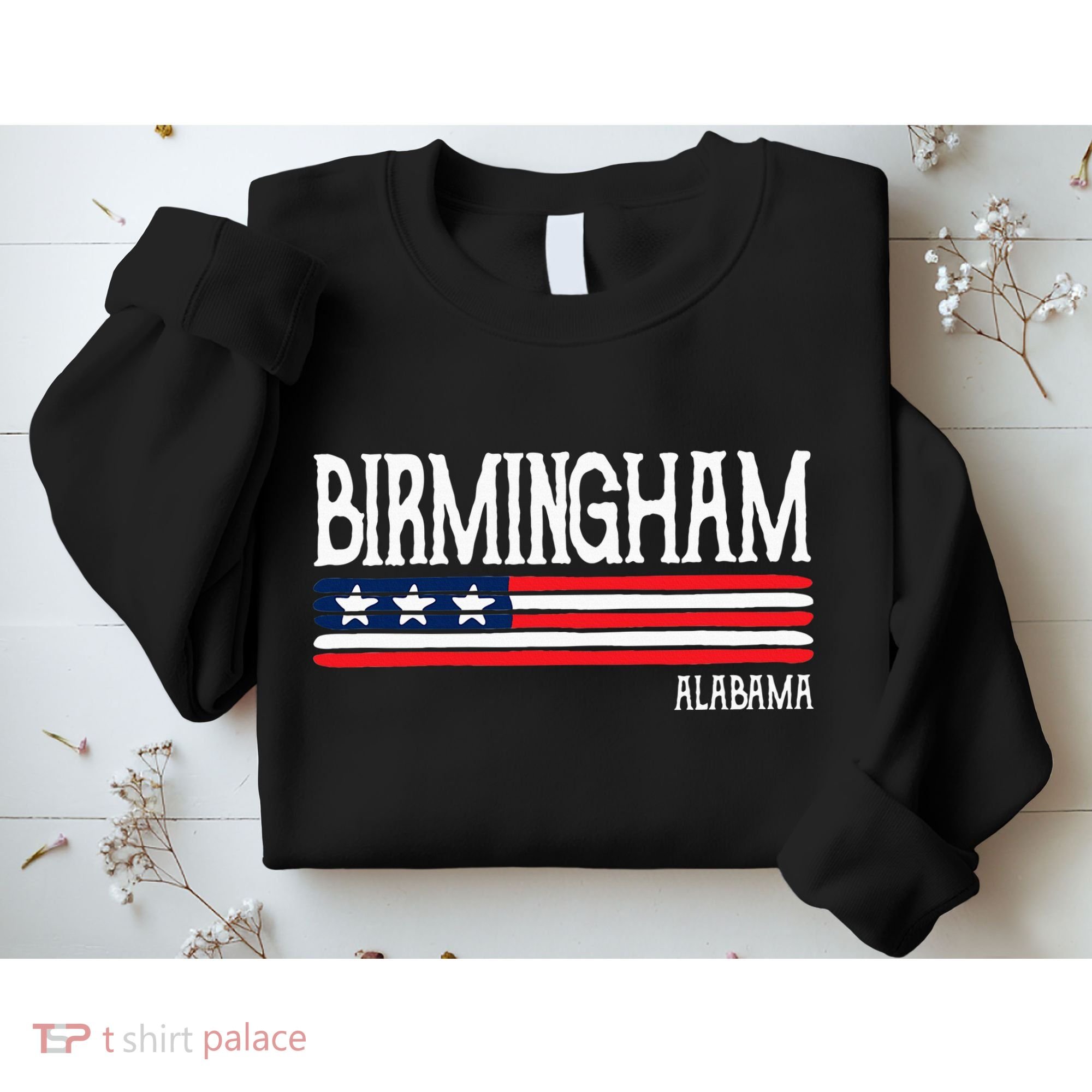 Birmingham Alabama Souvenir Gift Sweatshirt
