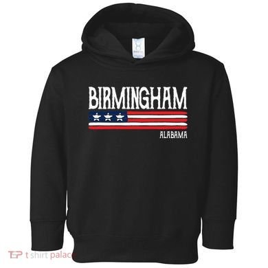 Birmingham Alabama Souvenir Gift Toddler Hoodie