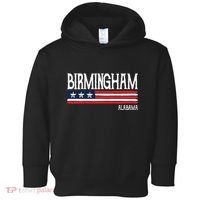 Birmingham Alabama Souvenir Gift Toddler Hoodie thumb 0