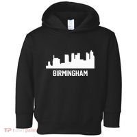 Birmingham Alabama Skyline Cityscape Toddler Hoodie thumb 0