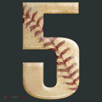 Baseball 5th Birthday  T-Shirt