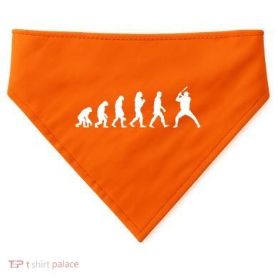 Baseball Fan Evolution  USA-Made Doggie Bandana