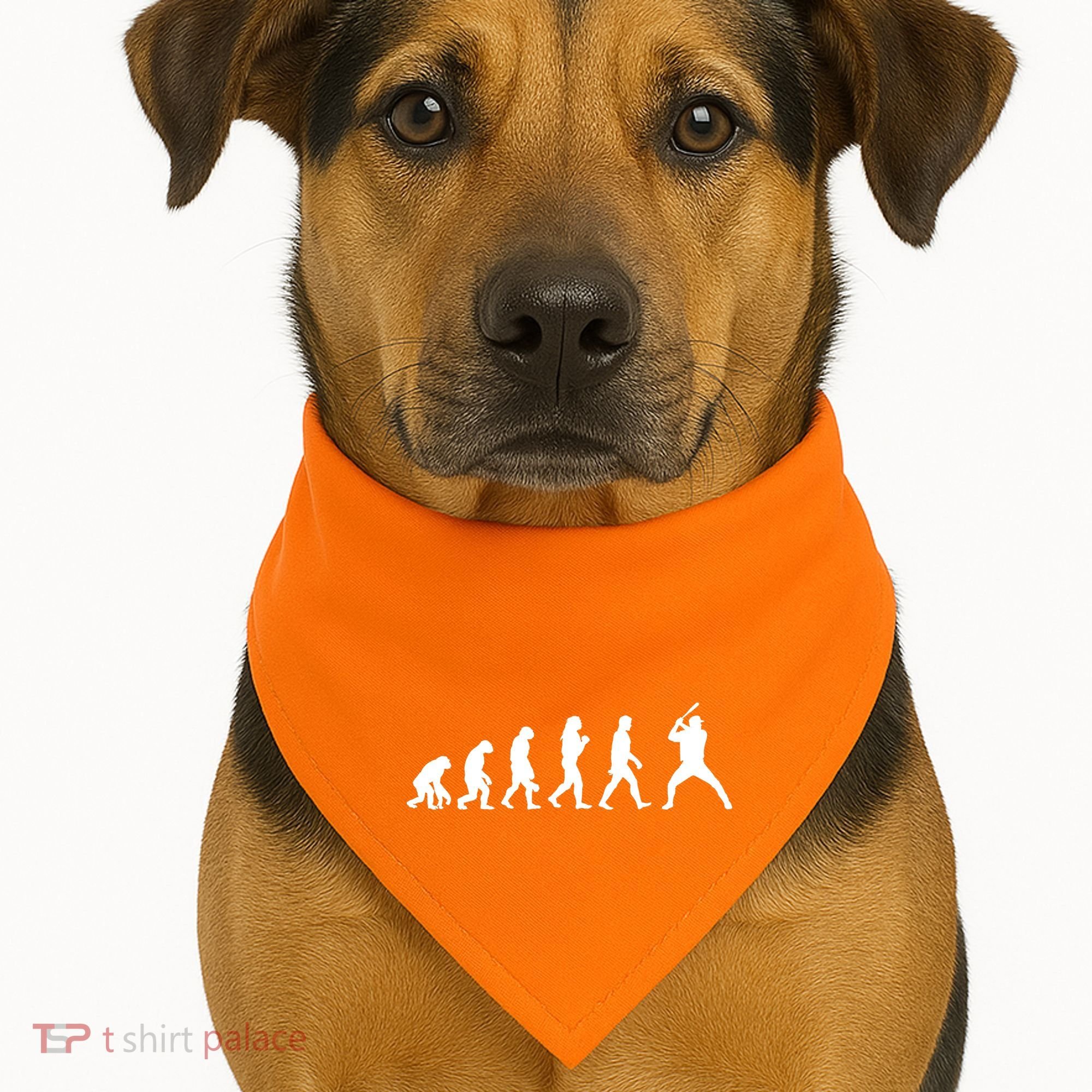 Baseball Fan Evolution  USA-Made Doggie Bandana