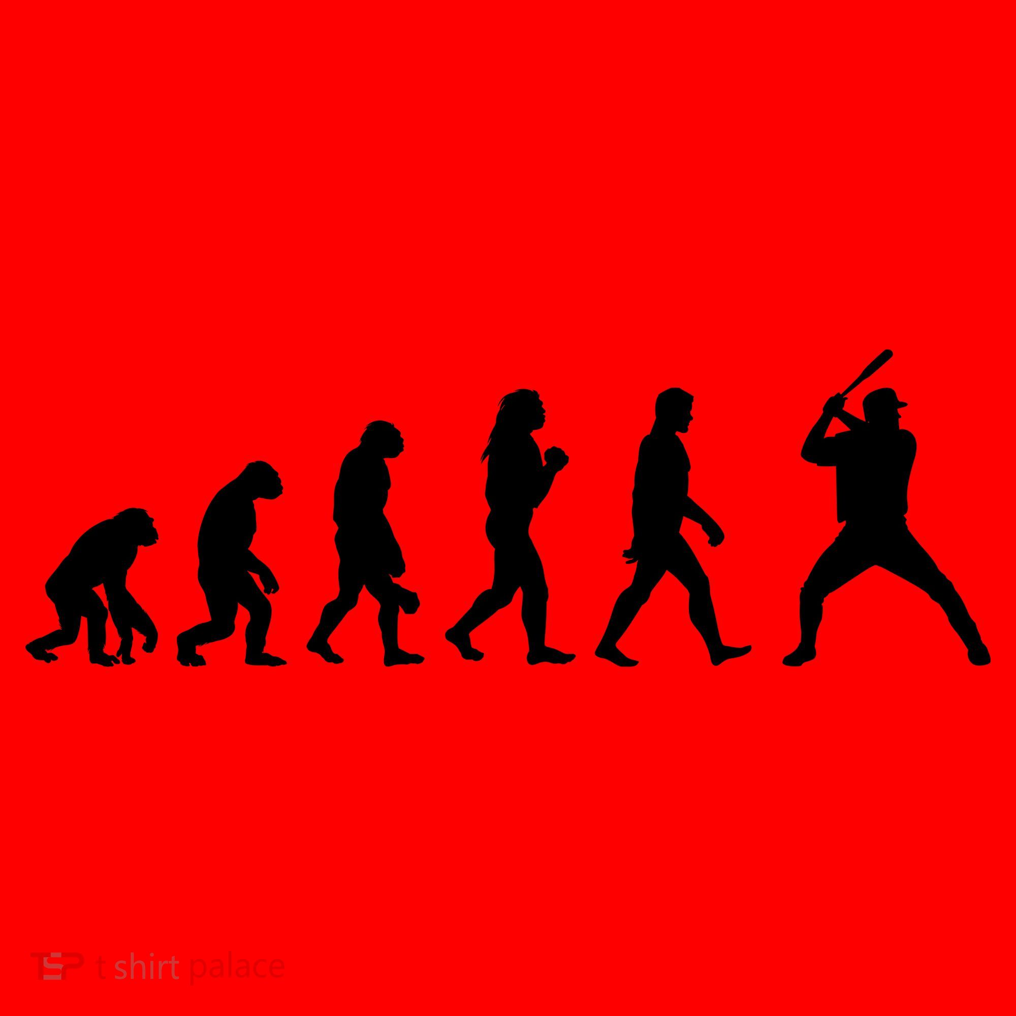 Baseball Fan Evolution  Santa Hat