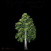 Basic Birch Coffee Mug thumb 5