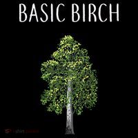 Basic Birch Kids Long Sleeve Shirt thumb 2