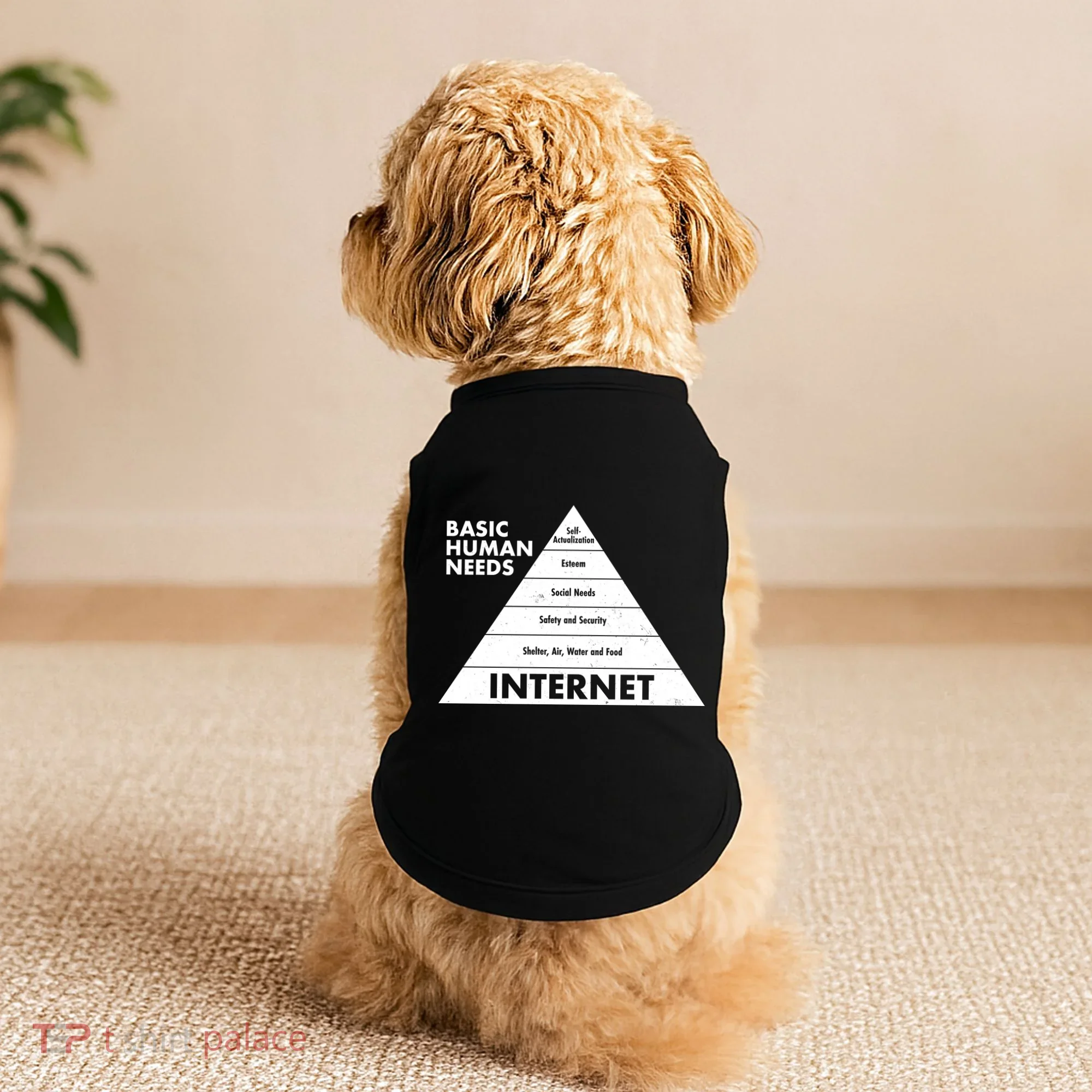Basic Human Needs Pyramid  Doggie Tank