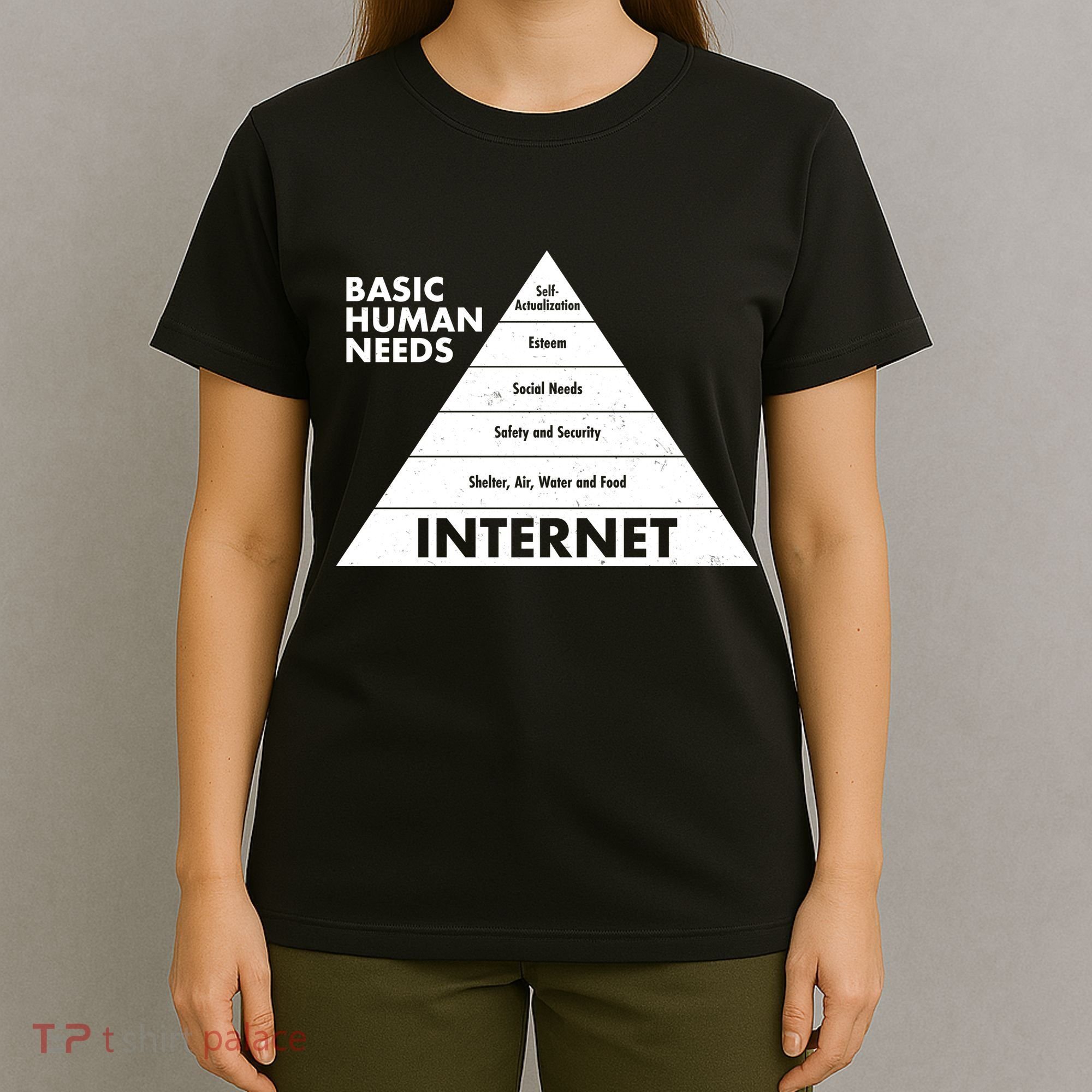 Basic Human Needs Pyramid  T-Shirt