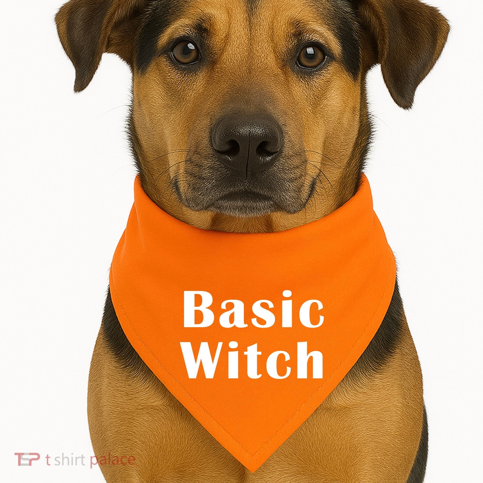 Basic Witch USA-Made Doggie Bandana