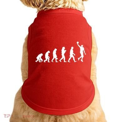 Basketball Evolution Doggie Tank