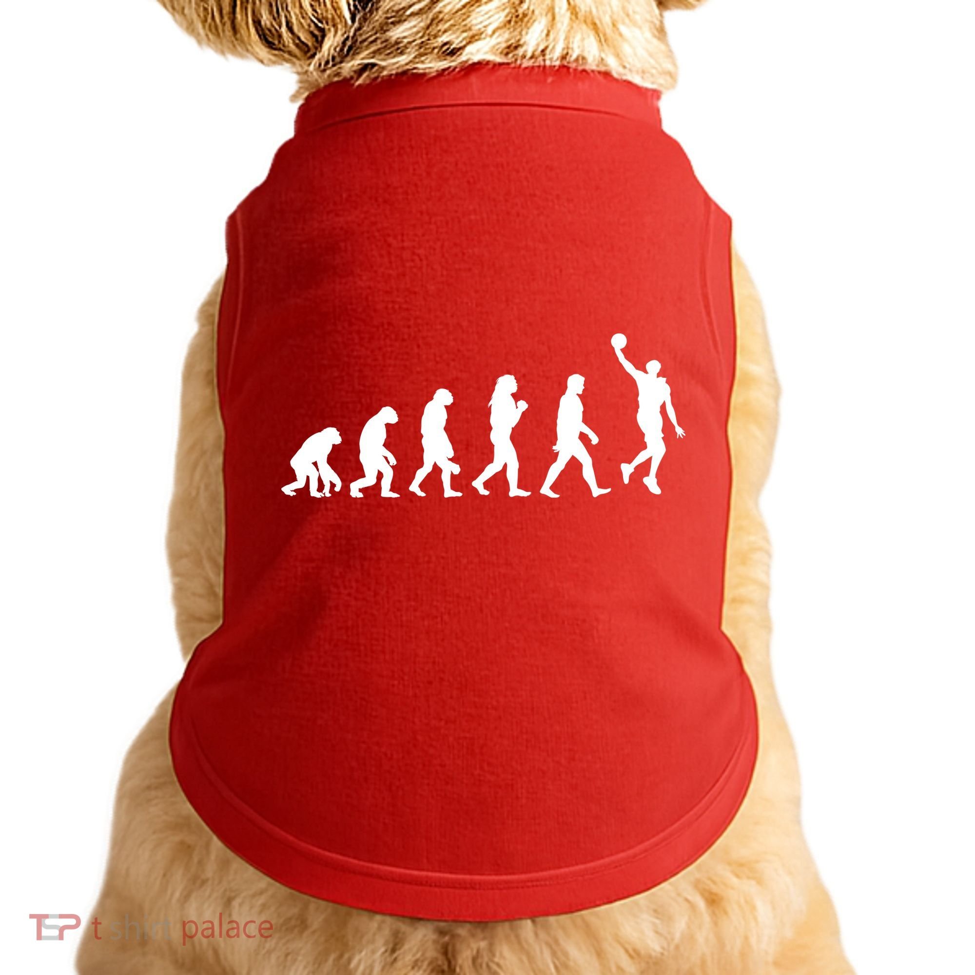 Basketball Evolution Doggie Tank