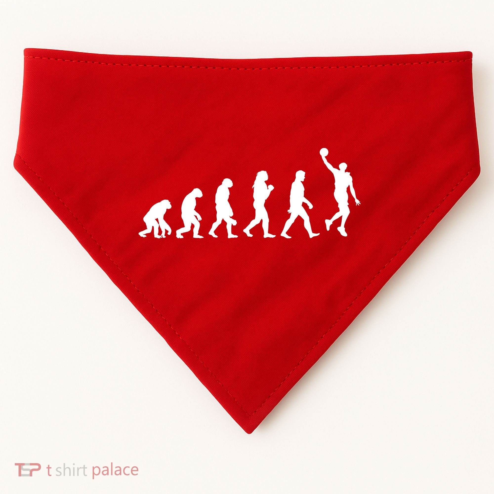 Basketball Evolution USA-Made Doggie Bandana