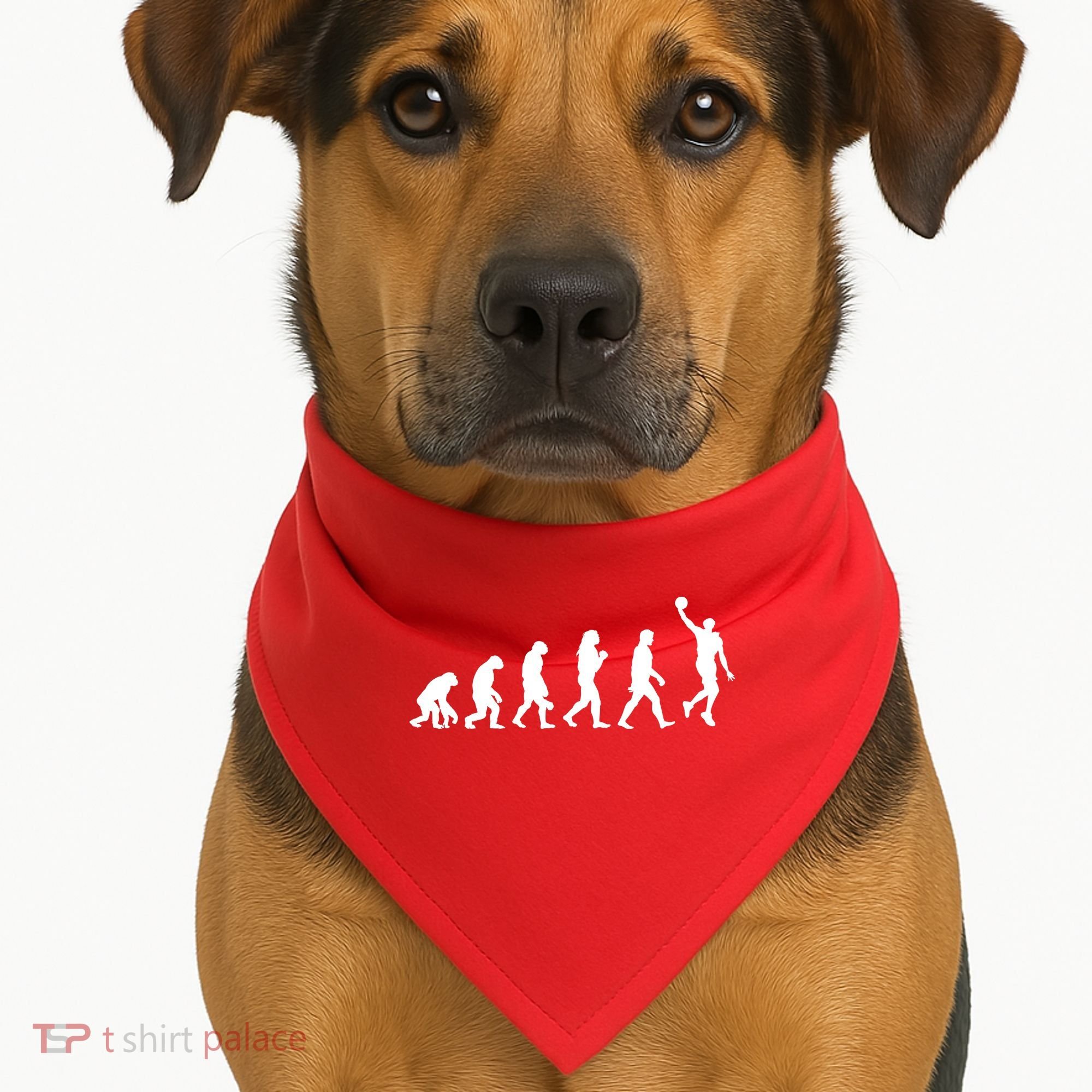 Basketball Evolution USA-Made Doggie Bandana