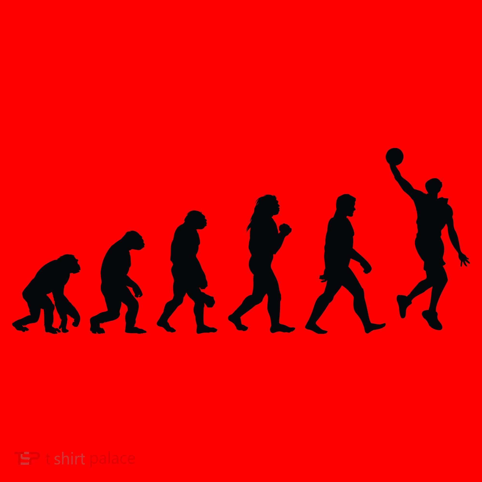 Basketball Evolution Santa Hat