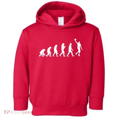 Basketball Evolution Toddler Hoodie
