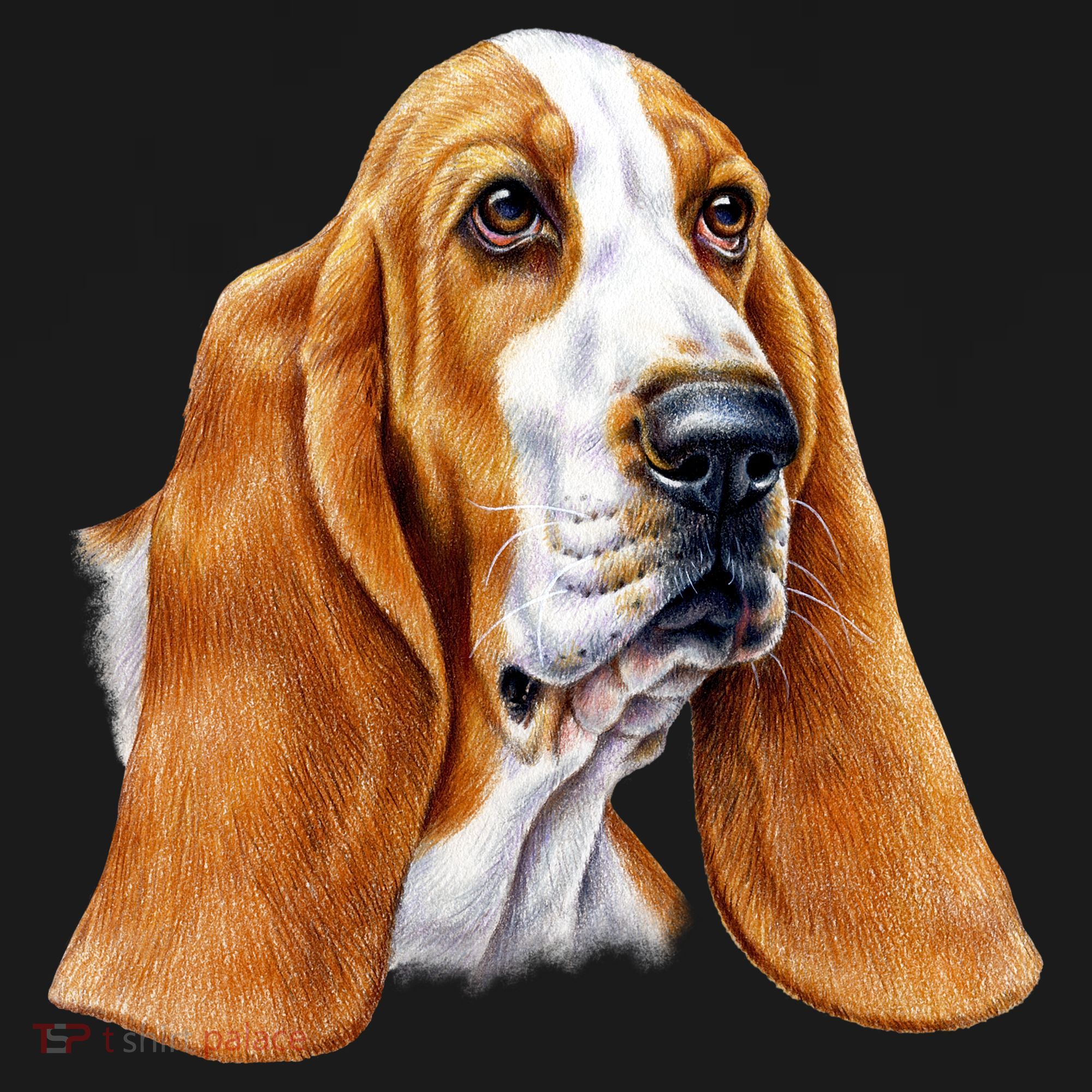 Basset Hound Face Ornament