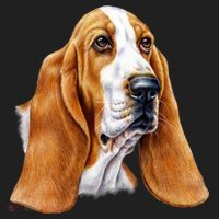 Basset Hound Face Hat thumb 2