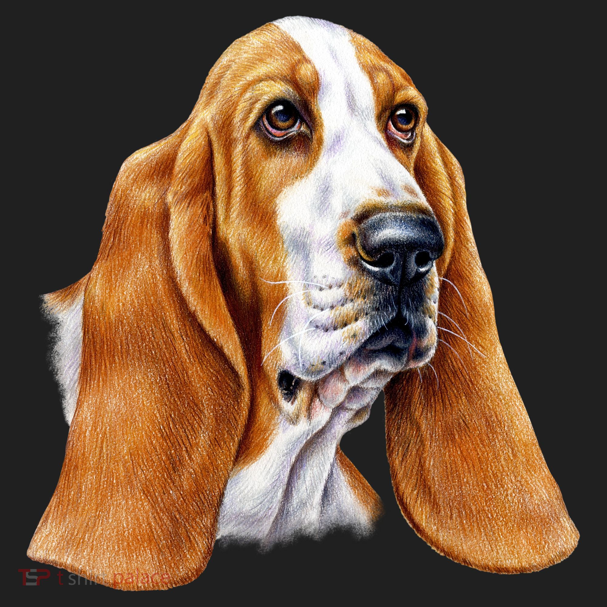 Basset Hound Face Hat